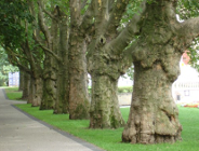 Stawki opłat i kar na rok 2010