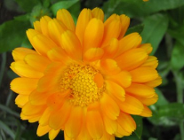 Stawki opłat za korzystanie ze środowiska