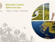 Światowy Dzień Mokradeł