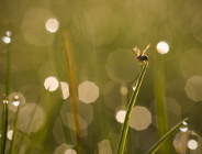 Światowy Dzień Ochrony Środowiska