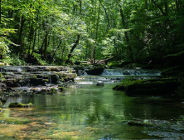 Światowy Dzień Rzek