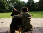 Światowy Dzień Zwierząt. Zostań wolontariuszem! Przyjdź na spacer z psami!