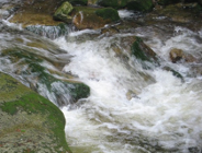 Światowy Tydzień Wody pod hasłem "Dostęp do wody dla wspólnego dobra"