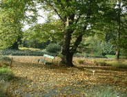 System Zarządzania Środowiskowego WOŚ UMP