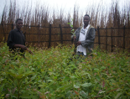 Szewska 9 - Dzień Sprawiedliwego Handlu - moc atrakcji dla dzieci