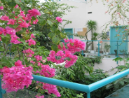 Szkolenia w zakresie ochrony środowiska dla małych i średnich przedsiębiorstw