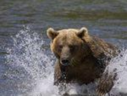 TRANSATLANTYK EKO i Rodzinny Przejazd Rowerowy