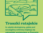 Traszki ratajskie