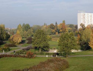 "Traszki Ratajskie" - nowy użytek ekologiczny w Poznaniu