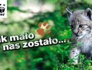 Ty też możesz uratować polskie rysie!!!