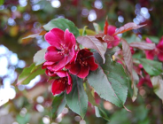 Uaktualniony wykaz firm zbierających zużyty sprzęt elektryczny i elektroniczny pochodzący z gospodarstw domowych z terenu m. Poznania (z 30.05.2008r.)