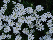 UMP organizacją spełniającą Standard Investors in People (IIP)