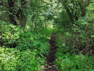 Utrzymanie w mocy decyzji środowiskowej