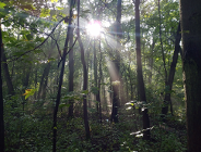 UWAGA! Zmiana w obsłudze klientów Wydziału Klimatu i Środowiska