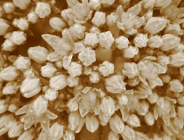 VII Edycja Bałtyckiego Konkursu Fotograficznego