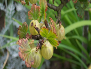 VII edycja Konkursu "Przeglądu Komunalnego" o Puchar Recyklingu