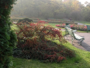 Weekendowa wycieczka po Ogrodzie Botanicznym