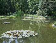 Weekendowe spotkania w Ogrodzie Botanicznym