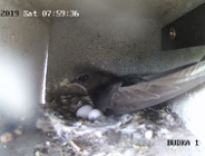 WEŹ UDZIAŁ W KONKURSIE "JERZYKOWYM"!