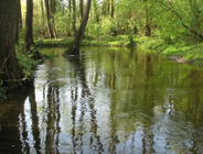 Widowisko muzyczne "Pamięć Wody"