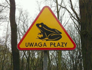 WIELKA MIGRACJA CHRONIONYCH PŁAZÓW! ZACHOWAJ OSTROŻNOŚĆ!!