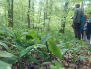 Wiosenny spacer po użytku ekologicznym "Dębina II"