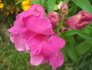 Wnieś opłatę za korzystanie ze środowiska za I półrocze 2009r. Od 1 lipca obowiązują nowe wzory wykazów!