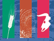 Wyjątkowa wystawa w Ogrodzie Botanicznym UAM