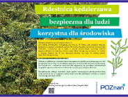 Wykaszanie rdestnicy kędzierzawej na jeziorze Rusałka