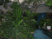 Wykaz wykonanych zadań w Wydziale Ochrony Środowiska Urzędu Miasta Poznania