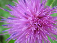 Wykaz zadań wykonanych w Wydziale Ochrony Środowiska Urzędu Miasta Poznania