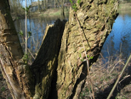 Wykaz zadań wykonanych w Wydziale Ochrony Środowiska Urzędu Miasta Poznania