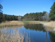 Wykaz zadań wykonanych w Wydziale Ochrony Środowiska Urzędu Miasta Poznania