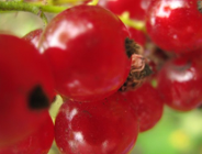 Wykaz zadań wykonanych w Wydziale Ochrony Środowiska Urzędu Miasta Poznania