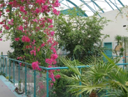 Wykaz zadań wykonanych w Wydziale Ochrony Środowiska Urzędu Miasta Poznania