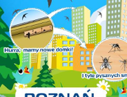 Wyniki konkursu na realizację zadań dot. ekologii i ochrony przyrody