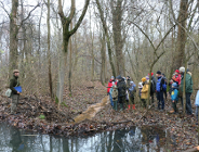 Wyprawa do tajemniczego olsu - zapraszamy na grudniowy spacer przyrodniczy!