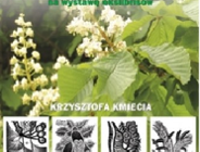 Wystawa ekslibrisów przyrodniczych w Ogrodzie Botanicznym