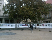 Wystawa fotograficzna "Hard Rain Project" Marka Edwards'a już w Poznaniu