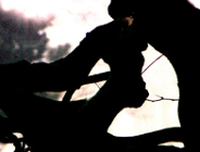 Wystawa fotografii w Ogrodzie Botanicznym UAM