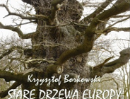 Wystawa "Stare drzewa Europy" zainauguruje NOC KUPAŁY W BOTANIKU