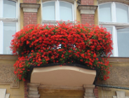 XVIII edycja konkursu "Zielony Poznań"