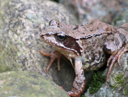 XXIV Ogólnopolski Konkurs Fotografii Przyrodniczej FOTO-EKO 2015