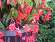 Z działalności Wydziału Ochrony Środowiska UMP - lipiec-sierpień 2006r.