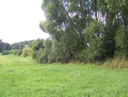 Z działalności Wydziału Ochrony Środowiska UMP - marzec 2006