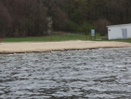 Zakaz kąpieli w kąpielisku nad Jeziorem Kierskim