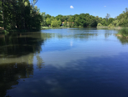 Zakończono odmulanie największego stawu w Parku Sołackim