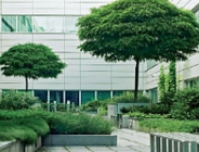 "Zalecenia dotyczące realizacji terenów zieleni"