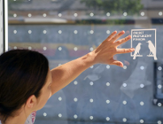 Zapobieganie kolizji ptaków z powierzchniami transparentnymi