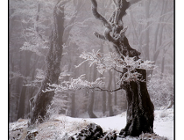 Zapraszamy do uczestniczenia w FOTO-EKO 2007!